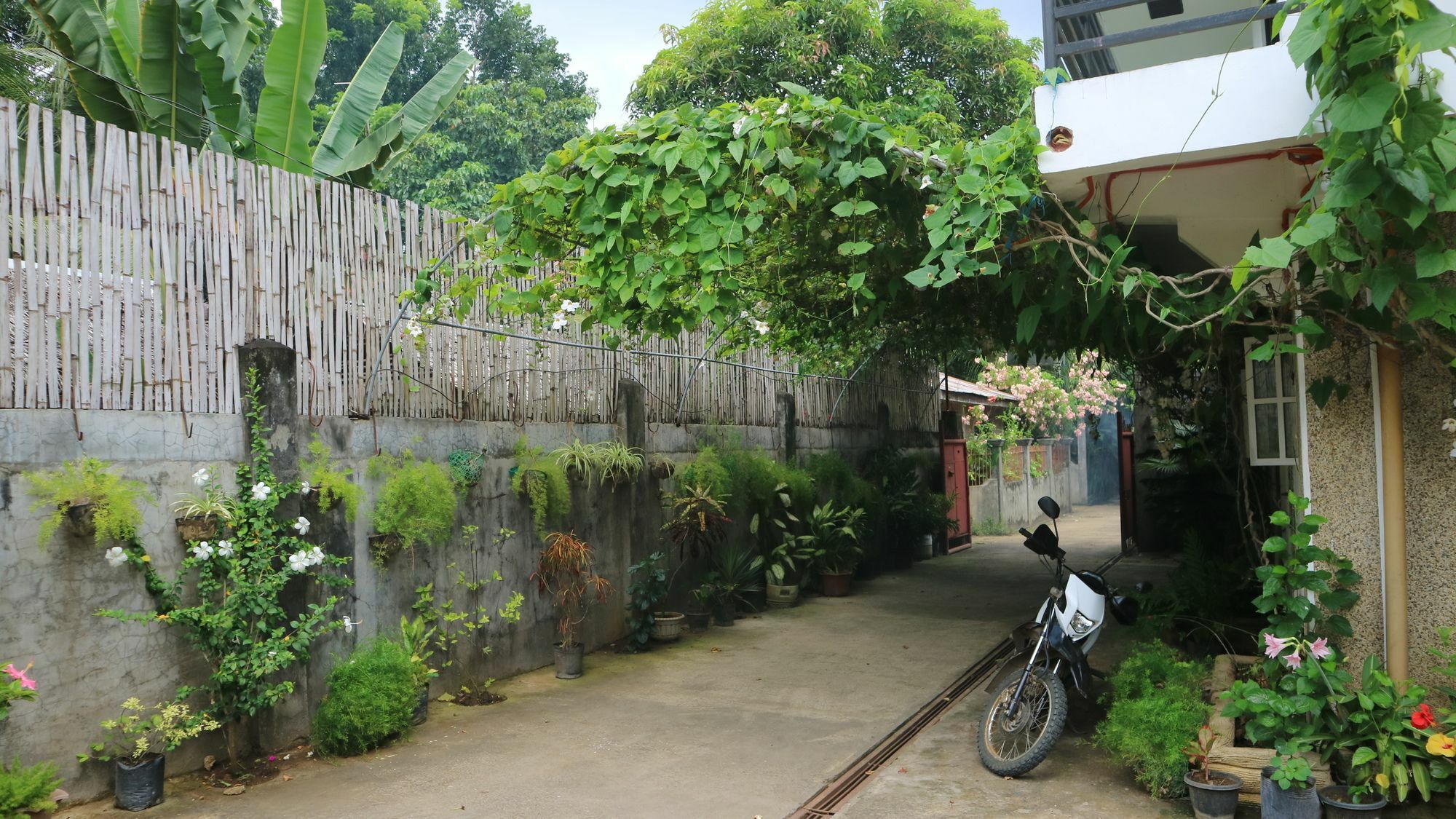 Charm Guest House Puerto Princesa Exteriör bild